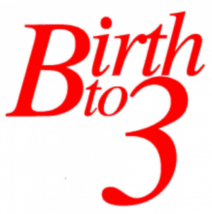 B-3 Logo