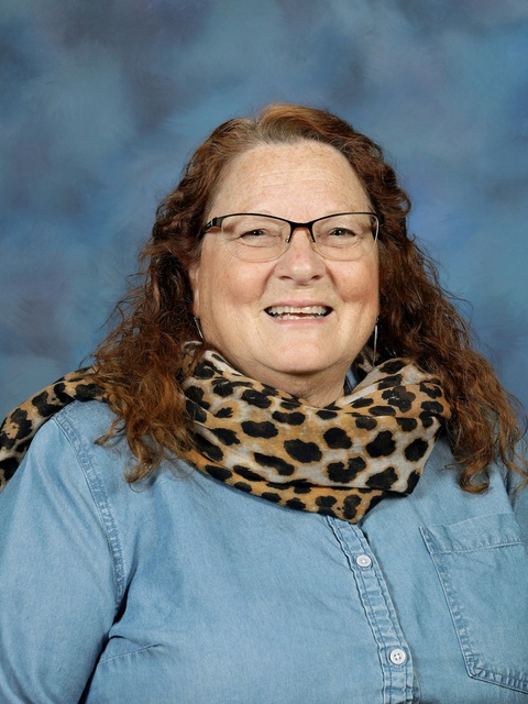 Donna Schmidt